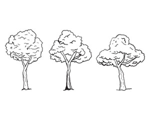 Set of Tree sketch hand drawn outline style. vector illustration. 