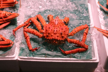 King crab.