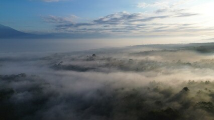 Point of view drone flying above the trees with fog above with sunlight penetrating the trees, with a sunrise background and clouds and a row of hills