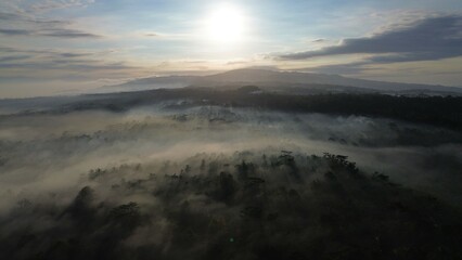 Point of view drone flying above the trees with fog above with sunlight penetrating the trees, with a sunrise background and clouds and a row of hills