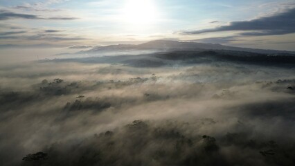 Point of view drone flying above the trees with fog above with sunlight penetrating the trees, with a sunrise background and clouds and a row of hills