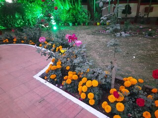 A charming nighttime scene in a garden. where colorful flowers an plants is illuminated by string...
