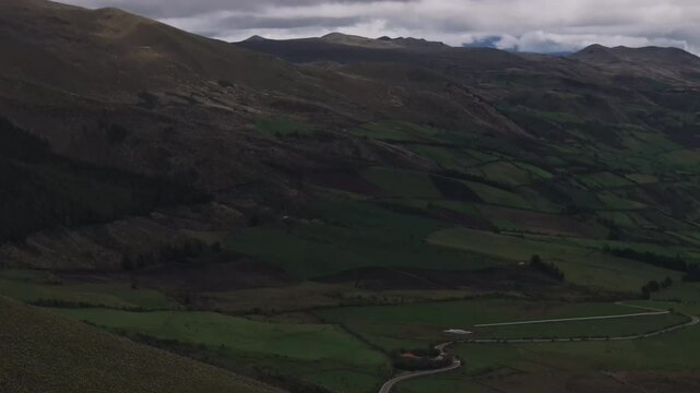 Aerial video of Espeletia Frailejones plants in a field with hills in the background. Ecuador