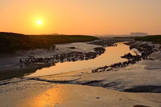 sunset on the beach