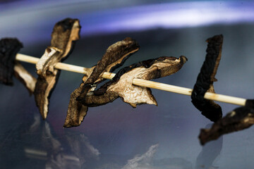Dried mushrooms on the wooden stick. Interesting way how to dry mushrooms efficiently 