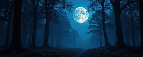 Naklejka premium Full moon in forest darkness, shadows, howling, night