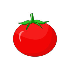 tomato isolated on white background,simple illustration of tomato . Tomato vector