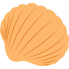 Beach Seashell Illustration