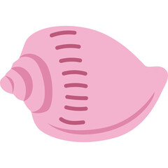 Beach Seashell Illustration