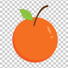 Vector oranges are cool and have a fresh orange color