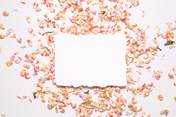 Empty card surrounded dried petals confetti.