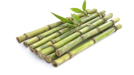 Fresh bamboo stalks arranged on a white background with leaves.
