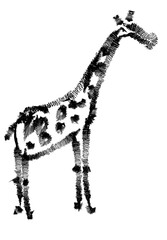 giraffe 