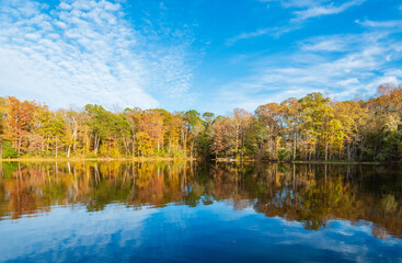 autumn trees reflected in water