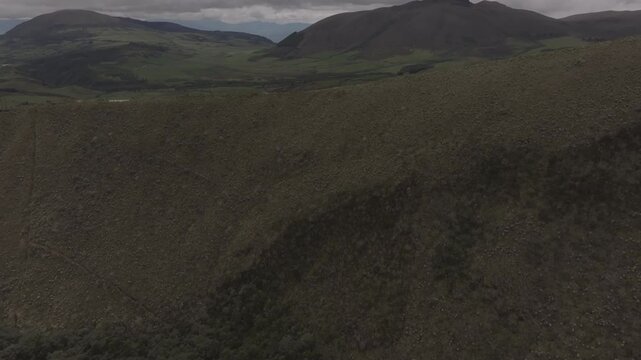 Aerial video of Espeletia Frailejones plants in a field with hills in the background. Ecuador