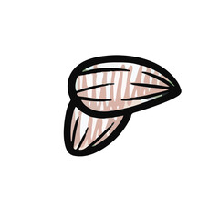 Almonds Hand-drawn