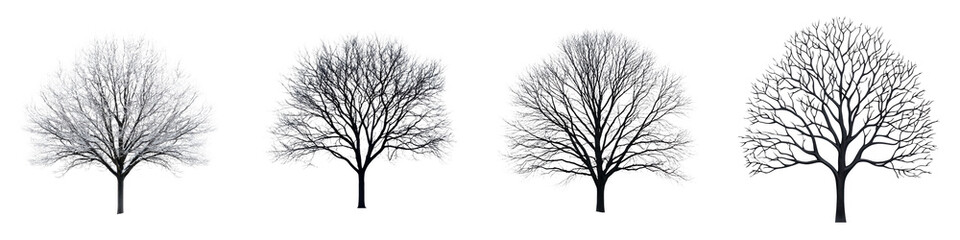 Obraz premium Minimalist Silhouettes of Bare Trees in Winter Landscape Elegant Graphic and Atmospheric Winter Scene with Tree Branches in Black and White Tranquil Serene and Conceptual Nature Photography