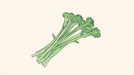 Fresh Broccoli Illustration Isolated on Light Background