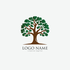 Obraz premium Oak tree, green tree, wooden, eco, leaf, landscape, icon fully editable vector logo template