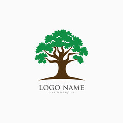Obraz premium oak tree, green tree, wooden, eco, leaf, landscape, icon fully editable vector logo template