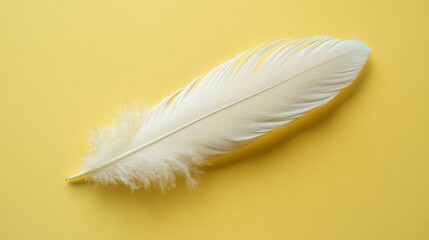 Obraz premium Single White Feather on Yellow Background