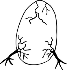 The chick's paws emerged from the cracked egg