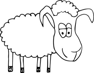 smiling funny sheep standing and looking at camera