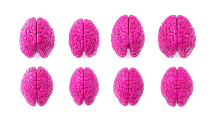 Colorful Pink Brains on Transparent Background Generative AI