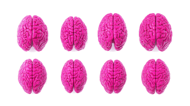 Colorful Pink Brains on Transparent Background Generative AI