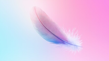 Delicate Feather Against Soft Gradient Background in Pastel Colors