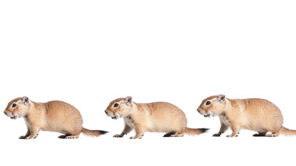 Obraz premium Cute Grouping of Prairie Dogs on a Transparent Background Generative AI