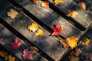 Fallen autumn leaves on bench with high angle view composition and dappled sunlight on texture detail