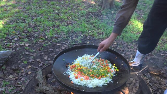 cocina al disco de arado