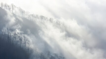 Obraz premium Sunbeams Slicing Through Dense Fog Over Mountain Landscape