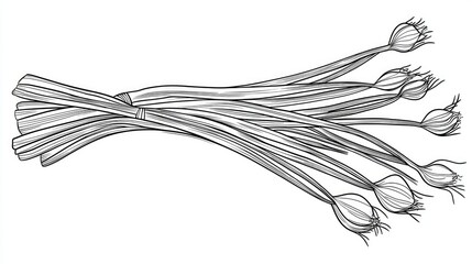 Fresh Green Onions Hand-Drawn Sketch in Black and White Style