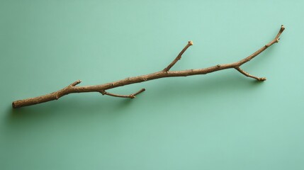 A Single Brown Branch on a Green Background