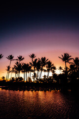 Obraz premium An early morning tropical sunrise with a background of tall palm trees and water ripples on a pool showing bright orange and yellow colors.