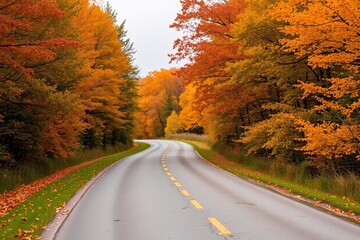 Fototapeta premium A serene paved road curves through a dense forest with vivid autumn leaves, creating a picturesque representation of fall's colorful beauty and tranquillity.