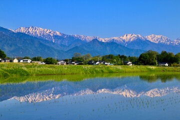 水田と北アルプス・水鏡（長野県・安曇野市）