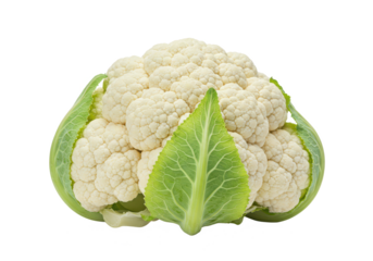 Cauliflower isolated on white background, front view, no depth of field, sharp