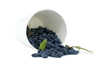 Fresh Haskap Berries Spilling from White Cup Isolated on White Surface
