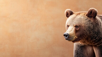 Obraz premium Majestic Brown Bear: A Powerful Portrait Against a Textured Beige Background, Evoking Wildness and Strength in Nature Photography