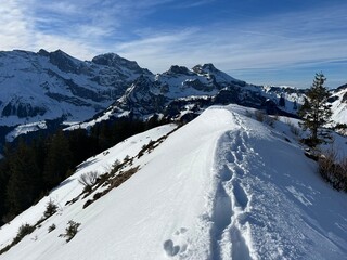 Wonderful winter hiking trails and traces in the fresh alpine snow cover of the Swiss Alps and over the tourist resort of Engelberg - Canton of Obwalden, Switzerland (Kanton Obwald, Schweiz)