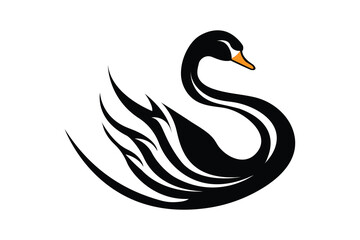 Fototapeta premium Swan-2