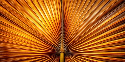 Obraz premium Intricate Dried Palm Frond Texture - Symmetrical Pattern Closeup