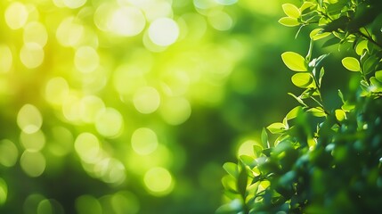 Fototapeta premium Lush Greenery with Bokeh Effect