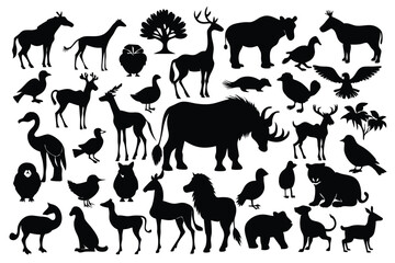 Silhouettes of different animals on white background