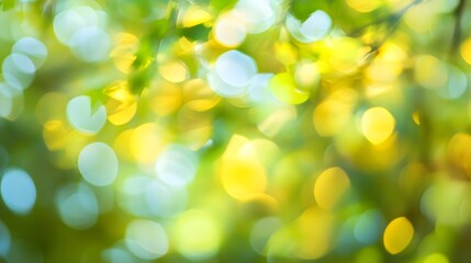 Obraz premium abstract nature background springtime bokeh