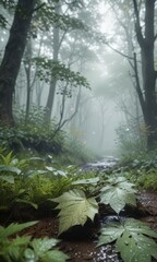Misty morning forest with raindrops on leaves, landscape, trees