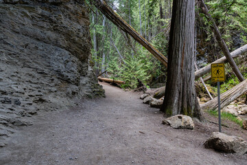 Margaret Falls loop trail with mountain stream near Shuswap lake British Columbia with scenic hiking trail
